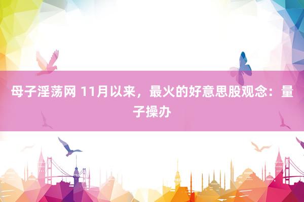 母子淫荡网 11月以来，最火的好意思股观念：量子操办